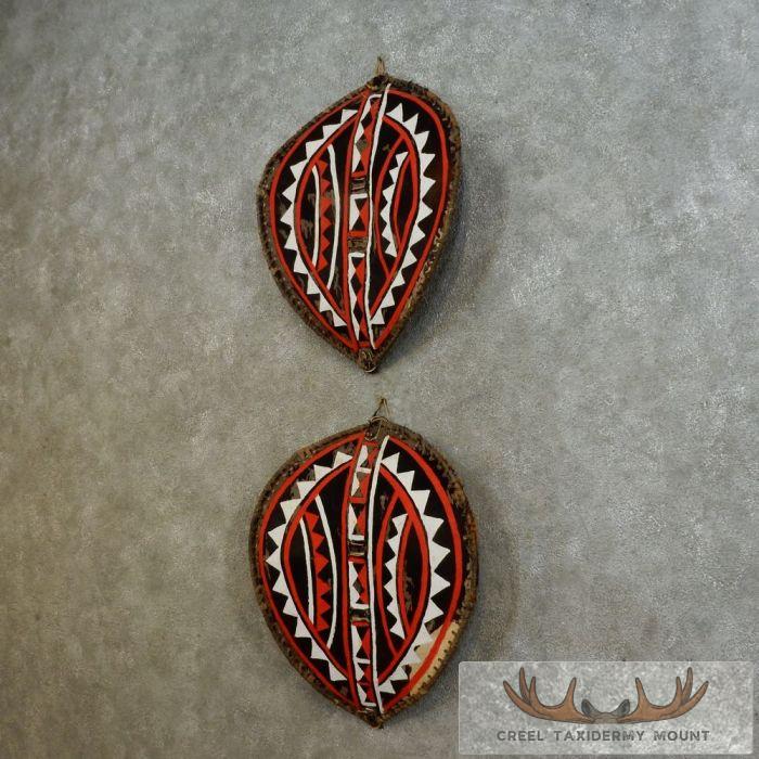 African Maasai Warrior Shield Pair For Sale - Image 3
