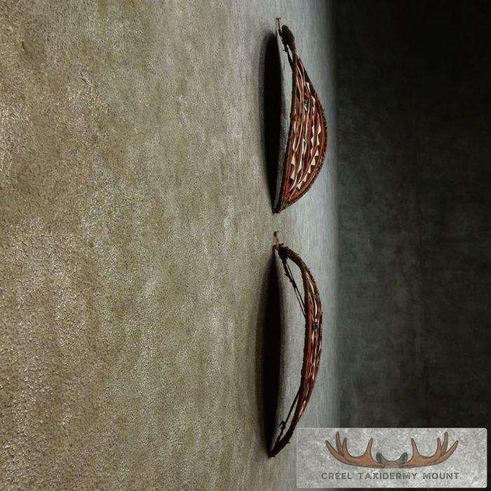 African Maasai Warrior Shield Pair For Sale - Image 6