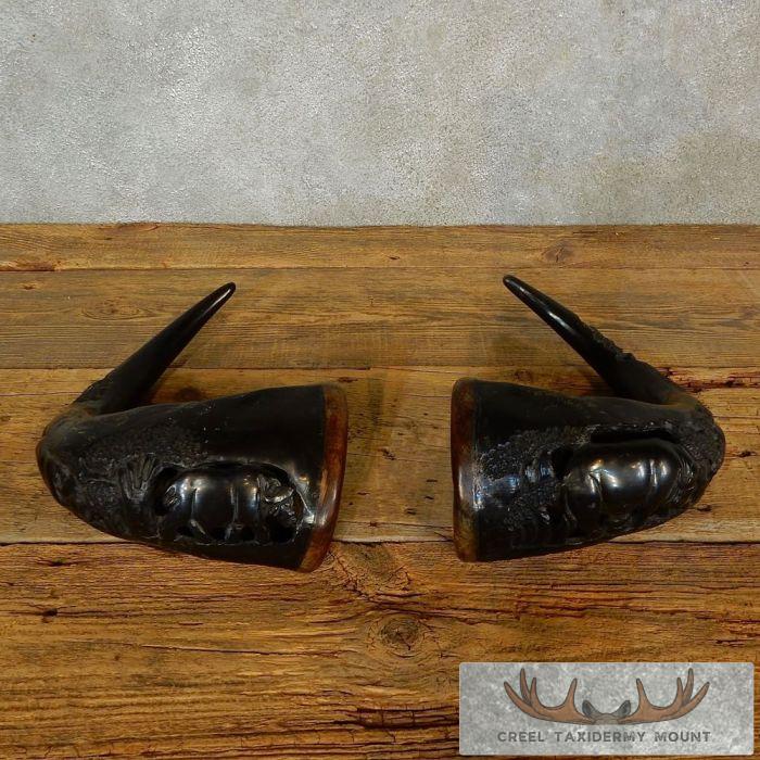 Carved Cape Buffalo Horns Taxidermy For Sale - Image 2