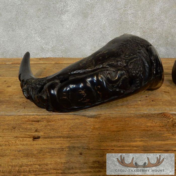 Carved Cape Buffalo Horns Taxidermy For Sale - Image 5