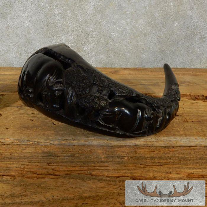 Carved Cape Buffalo Horns Taxidermy For Sale - Image 6