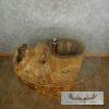 Carved Eagle Tree Trunk Table For Sale - Image 10