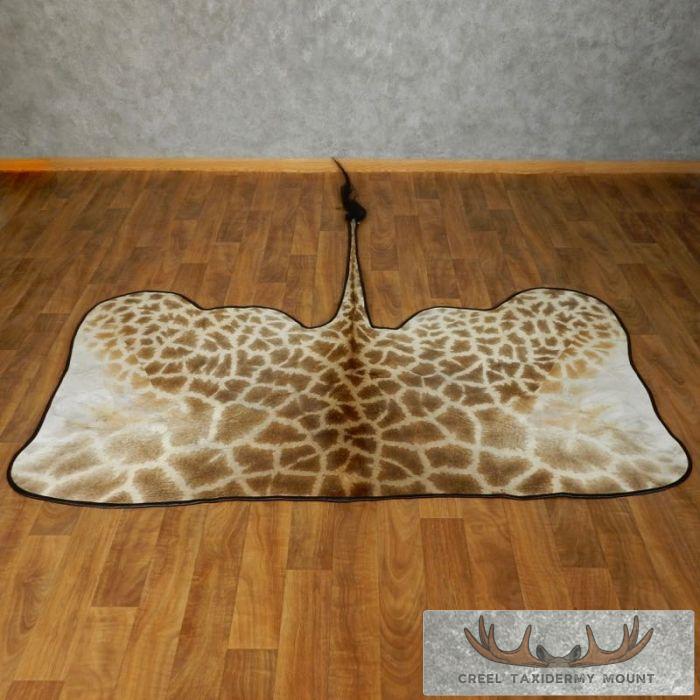 African Giraffe Taxidermy Hide Rug For Sale