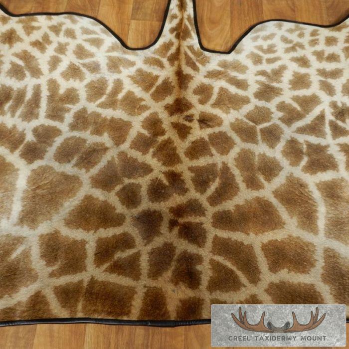 African Giraffe Taxidermy Hide Rug For Sale - Image 2