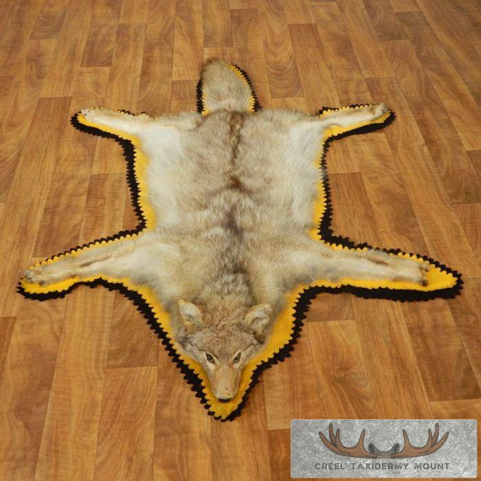 Coyote Skin Rug Taxidermy Mount For Sale