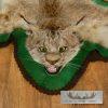Lynx Taxidermy Rug Mount w/ Open Mouth For Sale - Image 2