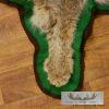 Lynx Taxidermy Rug Mount w/ Open Mouth For Sale - Image 6