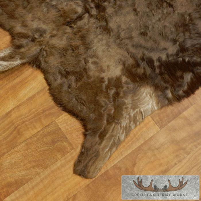 Black Wildebeest Taxidermy Hide Rug Mount For Sale - Image 3