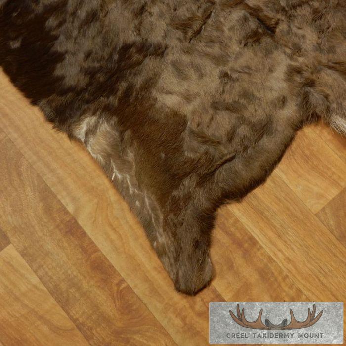 Black Wildebeest Taxidermy Hide Rug Mount For Sale - Image 5