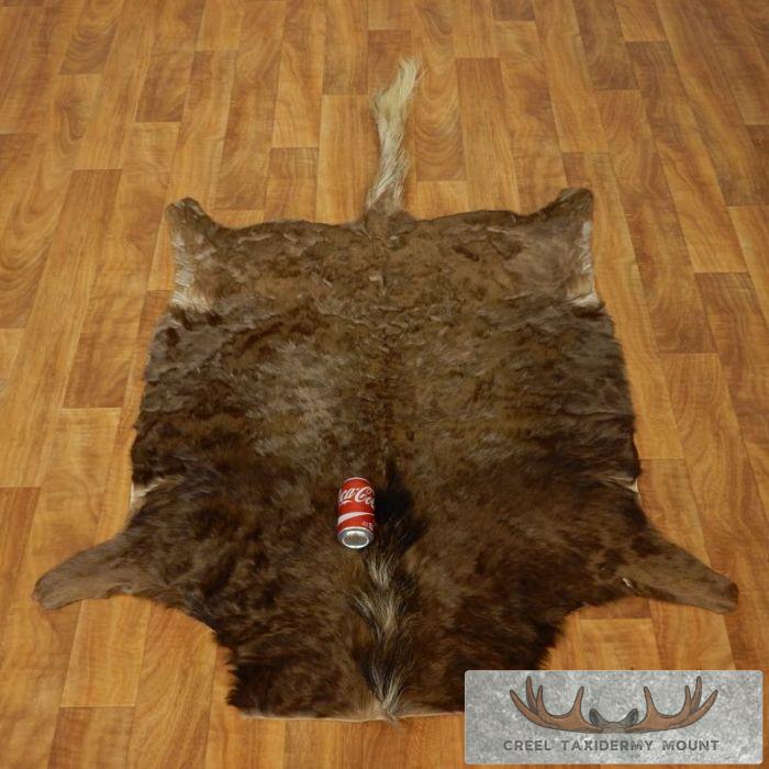 Black Wildebeest Taxidermy Hide Rug Mount For Sale - Image 8