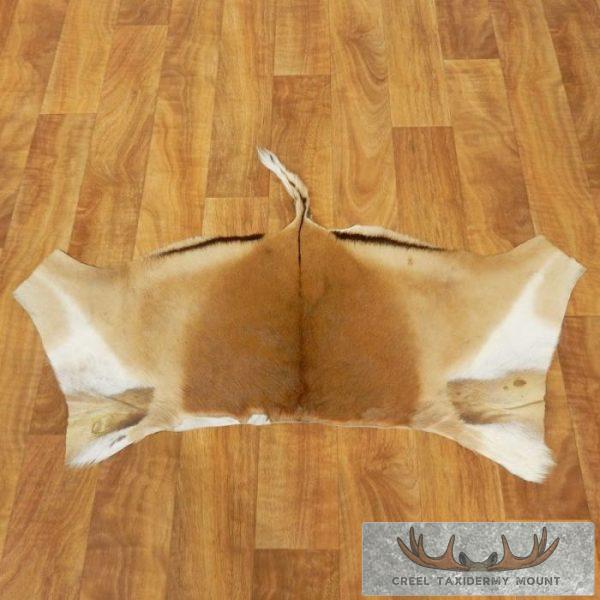 Impala Collection Rug Impala Back Hide Rug - Creel Taxidermy
