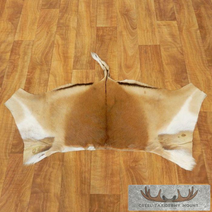 Impala Back Hide Rug Taxidermy Mount For Sale