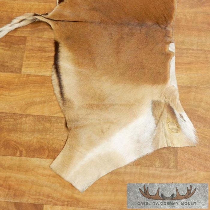 Impala Animal Rug Impala Back Hide Rug - Creel Taxidermy