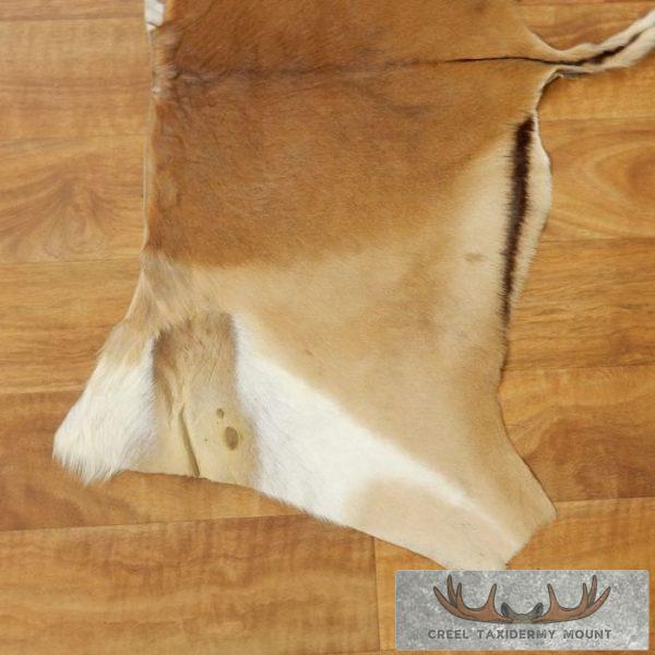 Impala Animal Rug Impala Back Hide Rug - Creel Taxidermy