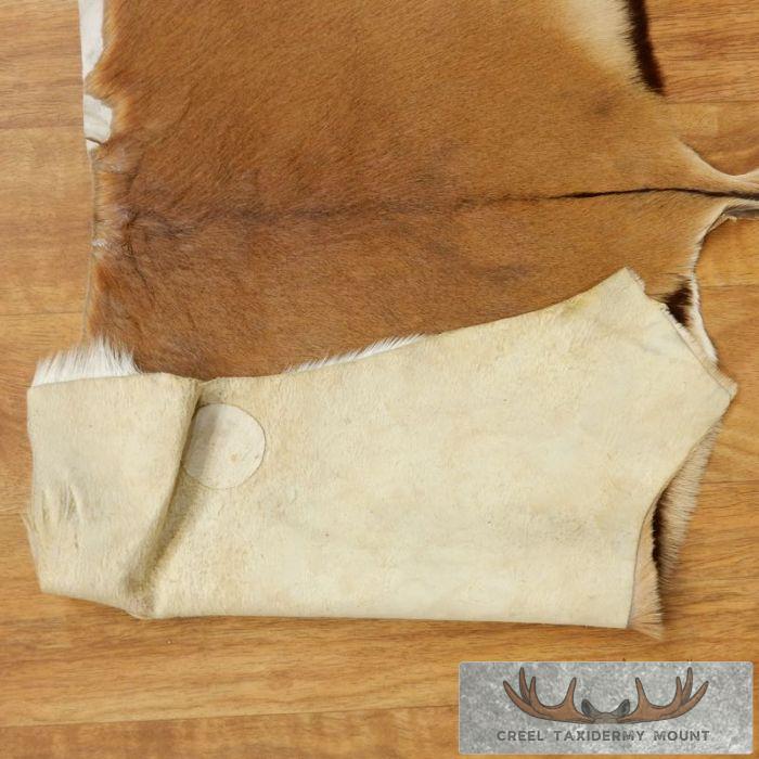 Impala Animal Rug Impala Back Hide Rug - Creel Taxidermy