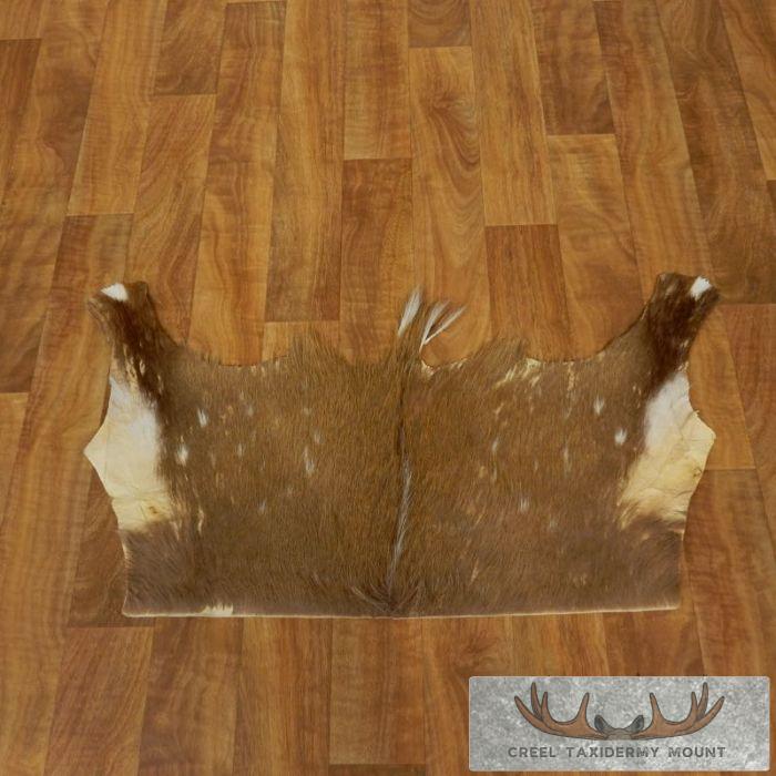 African Bushbuck Hide Taxidermy Rug For Sale