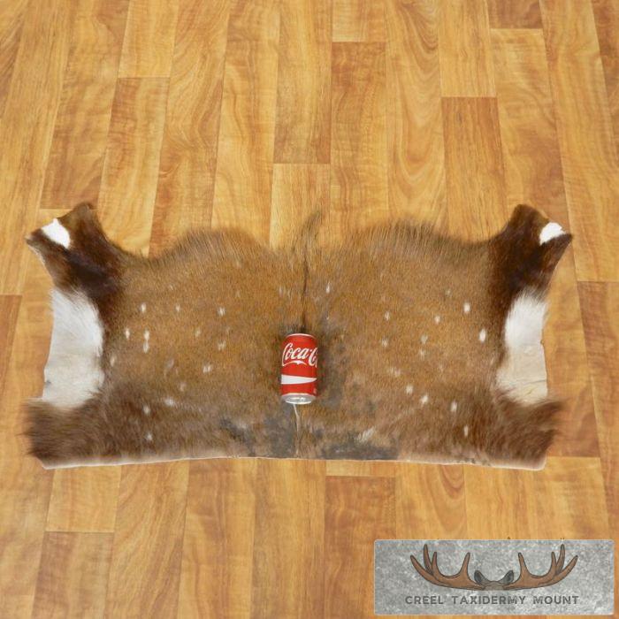 African Bushbuck Hide Taxidermy Rug For Sale - Image 2