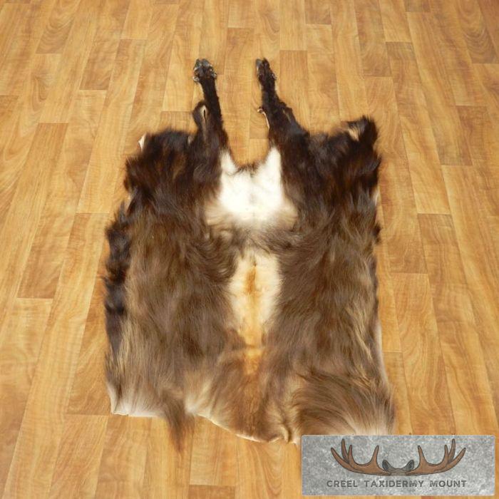 Himalayan Tahr Hide Taxidermy Rug Mount For Sale