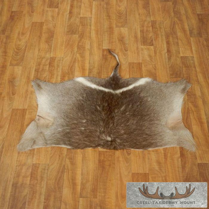 African Waterbuck Tanned Skin Taxidermy Rug For Sale