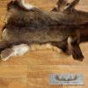 South Pacific Chamois Tanned Skin Taxidermy Rug For Sale - Image 2