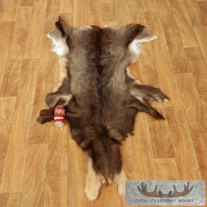 South Pacific Chamois Tanned Skin Taxidermy Rug For Sale - Image 7