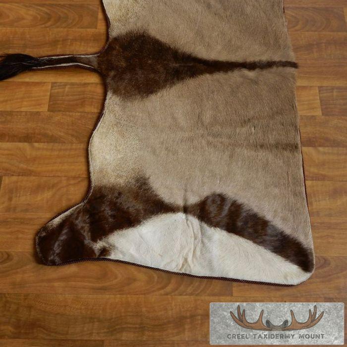 Gemsbok Rug Taxidermy Mount For Sale - Image 3