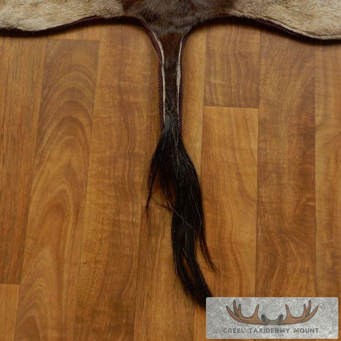 Gemsbok Rug Taxidermy Mount For Sale - Image 2