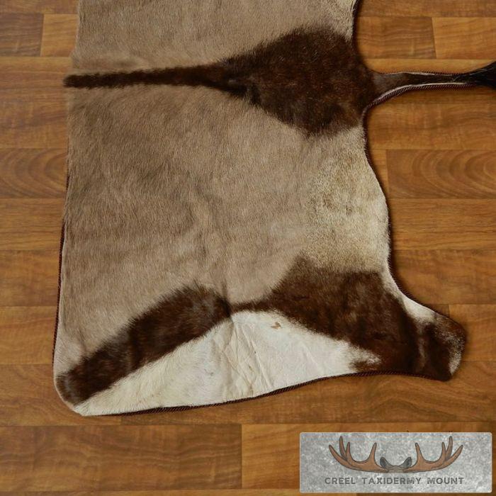 Gemsbok Rug Taxidermy Mount For Sale - Image 4