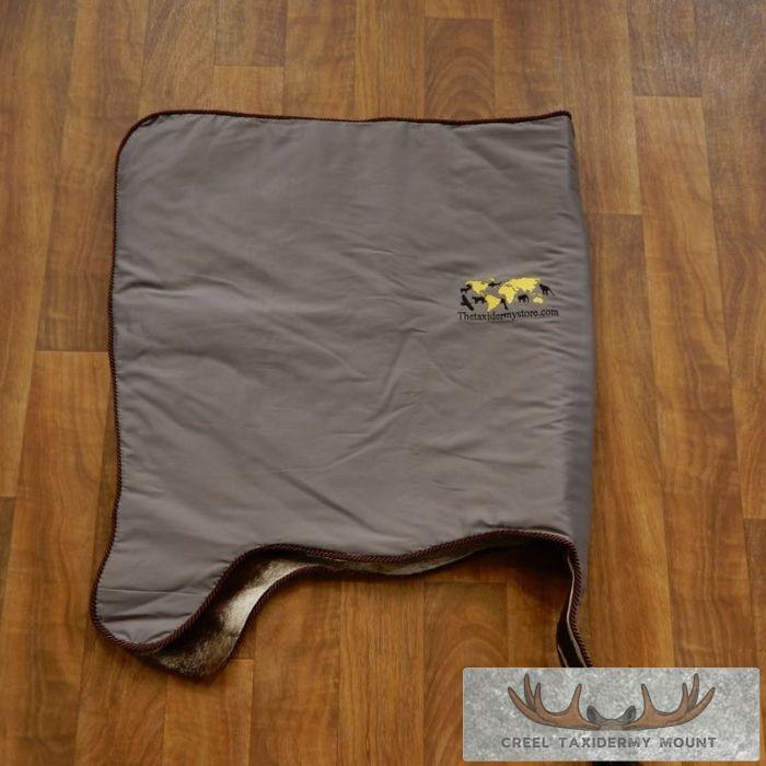 Gemsbok Rug Taxidermy Mount For Sale - Image 5