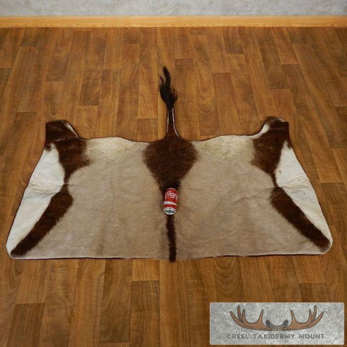 Gemsbok Rug Taxidermy Mount For Sale - Image 6
