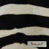 Faux Zebra Cowhide Taxidermy Hide Rug For Sale - Image 9