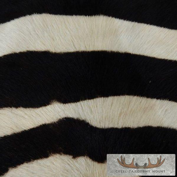 Faux Zebra Cowhide Taxidermy Hide Rug For Sale - Image 9