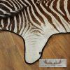 African Zebra Full-Size Taxidermy Rug For Sale - Image 3