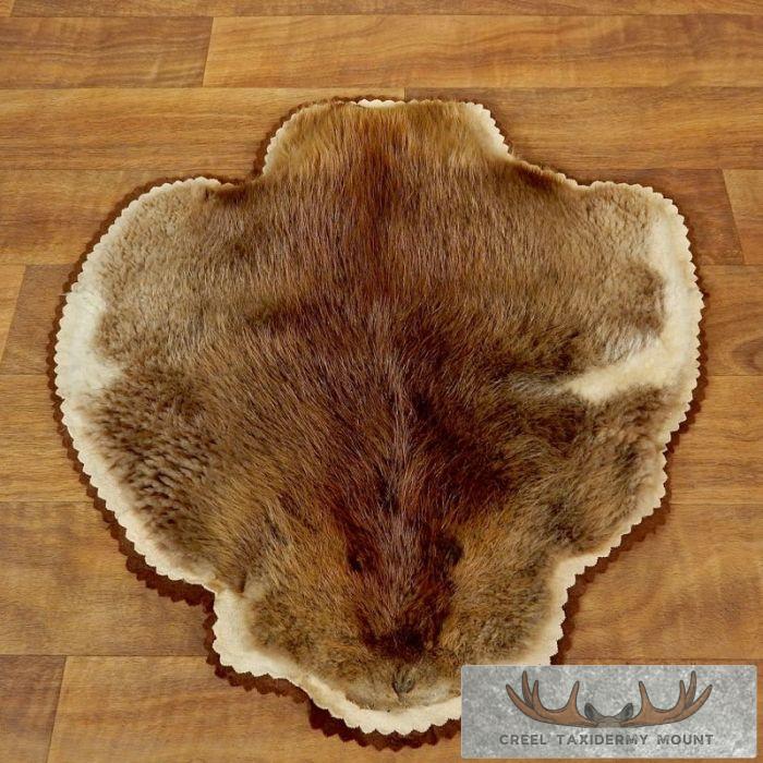 Beaver Hide Taxidermy Rug For Sale