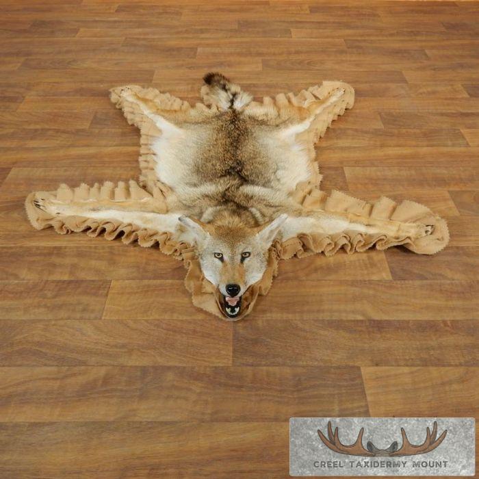 Coyote Full Rug Taxidermy Mount For Sale