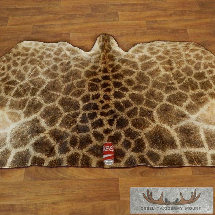 African Giraffe Taxidermy Hide Rug For Sale - Image 5