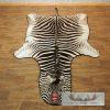 African Zebra Full-Size Taxidermy Rug For Sale - Image 9