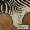 African Zebra Full-Size Taxidermy Rug For Sale - Image 6