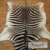 African Zebra Full-Size Taxidermy Rug For Sale - Image 8