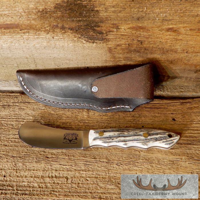 Beavertail Trapper Skinning Knife with Elk Antler Handle For Sale - Image 3