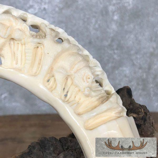 Carved Hippopotamus Tooth Safari Decor For Sale - Image 12