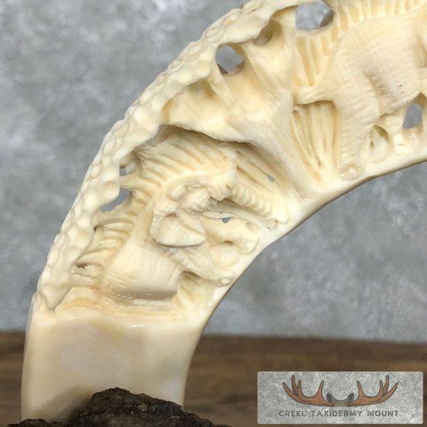 Carved Hippopotamus Tooth Safari Decor For Sale - Image 11