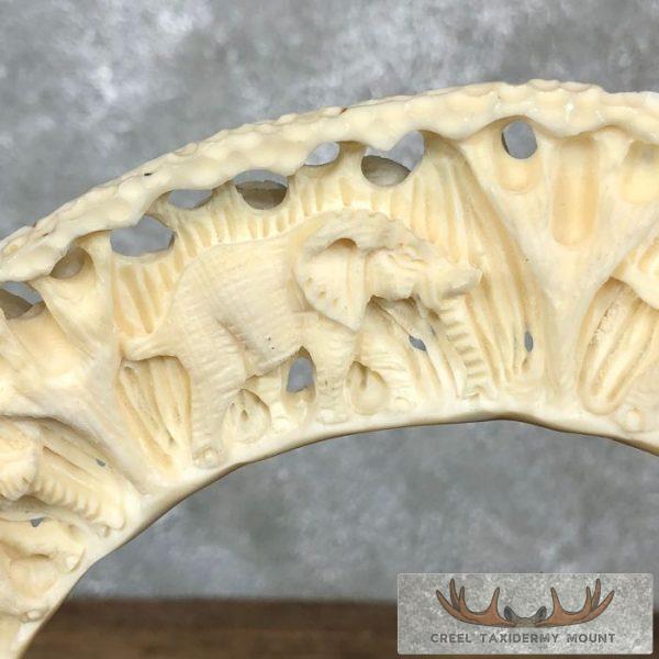 Carved Hippopotamus Tooth Safari Decor For Sale - Image 10