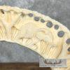 Carved Hippopotamus Tooth Safari Decor For Sale - Image 13