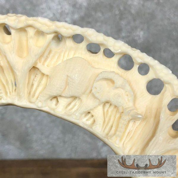 Carved Hippopotamus Tooth Safari Decor For Sale - Image 13