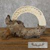 Carved Hippopotamus Tooth Safari Decor For Sale - Image 2