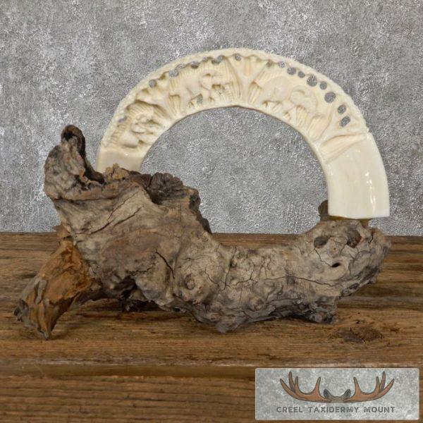 Carved Hippopotamus Tooth Safari Decor For Sale - Image 2