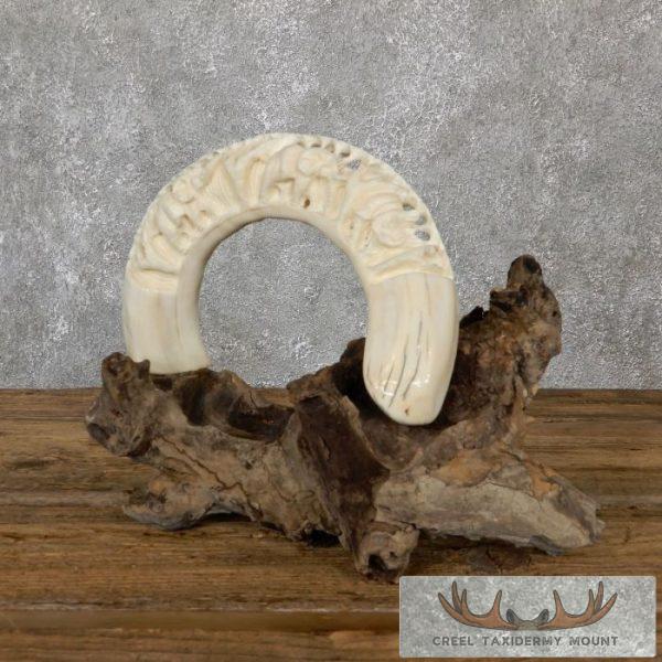 Carved Hippopotamus Tooth Safari Decor For Sale - Image 3