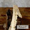 Carved Hippopotamus Tooth Safari Decor For Sale - Image 5