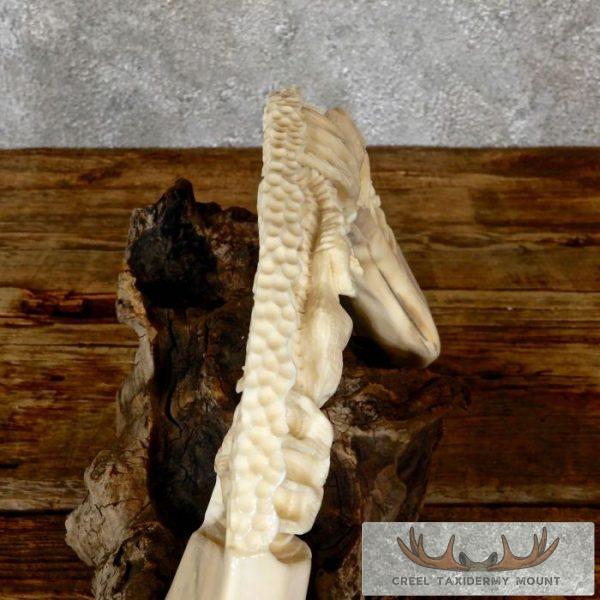 Carved Hippopotamus Tooth Safari Decor For Sale - Image 5